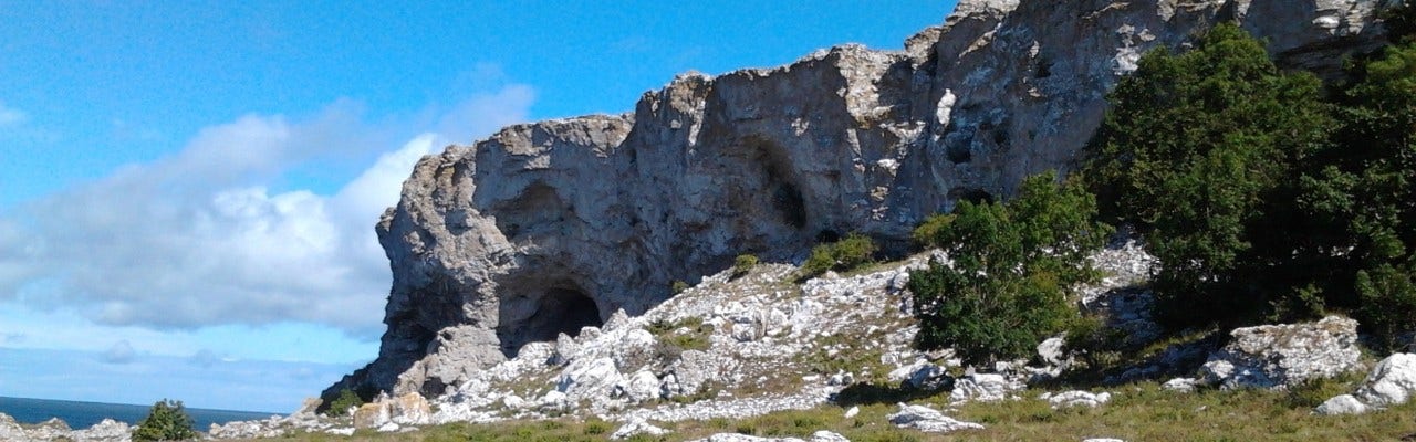 Lilla Karlsö